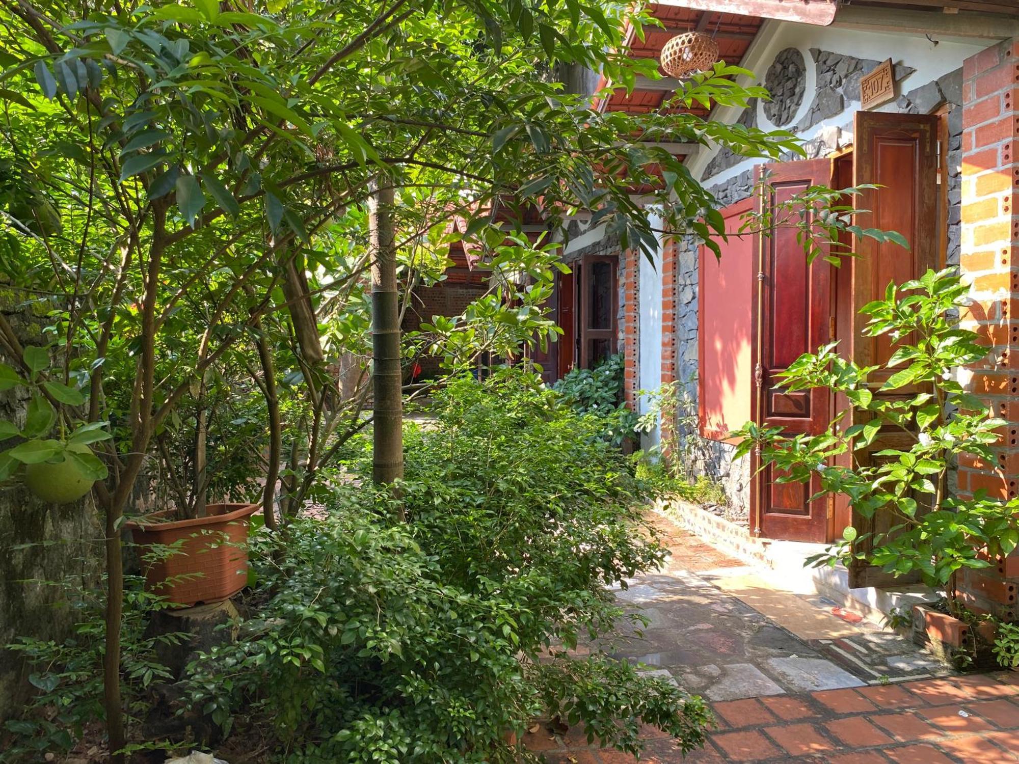 Tam Coc Ngo Dong Homestay Ninh Binh Eksteriør billede